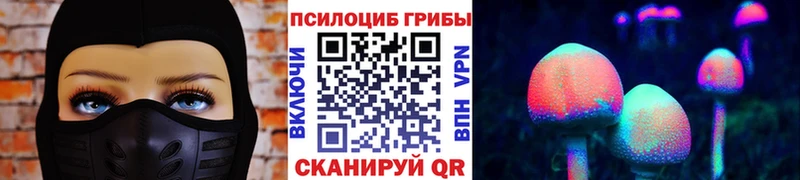 blacksprut зеркало  Каменск-Шахтинский  Псилоцибиновые грибы GOLDEN TEACHER  мориарти клад  где купить  